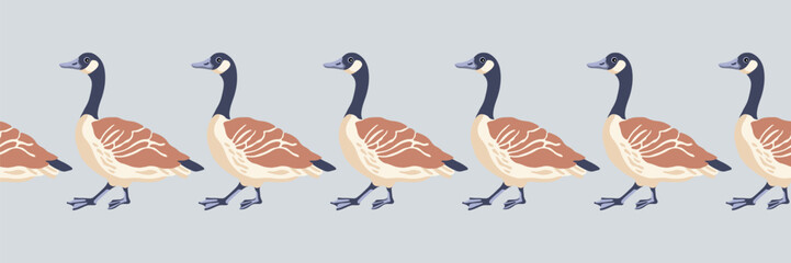 Canada goose. Seamless border. English style pattern. Vintage style color walking birds. Vector illustration on grey background.