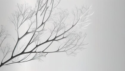 Dry brand twigs with simple gradient background
