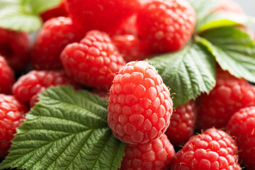Fresh red raspberries with leaves macro shot