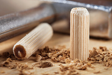 Two wooden dowel for fastening oak plank. Timber industry.