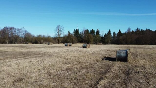 aerial drone footage of spring field with hay bales