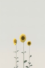 Very simple girly background with sunflower at the bottom of the image