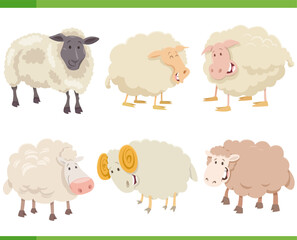 cartoon funny sheep farm animal characters set