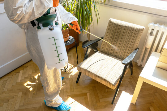 Specialist in protective suit with decontamination sprayer bottle disinfecting household and furniture. Pest control concept.