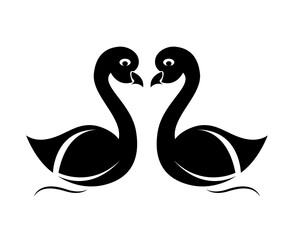 Two black and white swans together isolated on white background - vector illustration