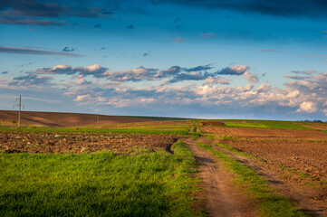 Fototapeta na wymiar plowed and green field, dirt road and hills, clouds at sky, the springtime