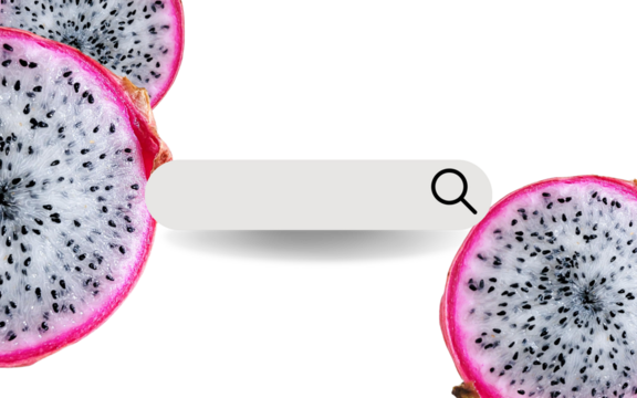 Graphic illustration with dragon fruit