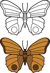 Hand drawn butterflies. Set of two butterflies,linear and colored.Vector illustration doodle style. Coloring.
