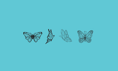 butterfly on a aqua background