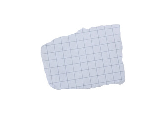 Torn paper piece isolated on a white background. Ripped paper.
