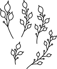 Set of floral design elements in vintage style. Design element for decorations. Vector illustration