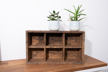 rustic wooden box with two plants on it standing in front of white wall