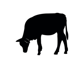 Vector cow silhouette isolated on white background