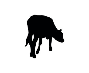 Vector cow silhouette isolated on white background