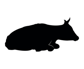 Vector cow silhouette isolated on white background