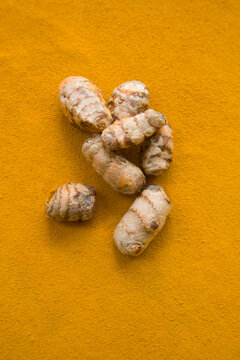 Fresh turmeric on powder turmeric