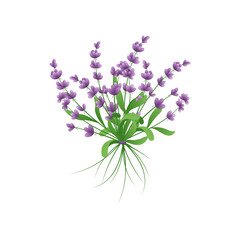 Fototapeta premium Beautiful bouquet of lavender