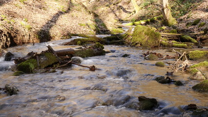 Der Hölzbach im Licht der Nachmittagssonne