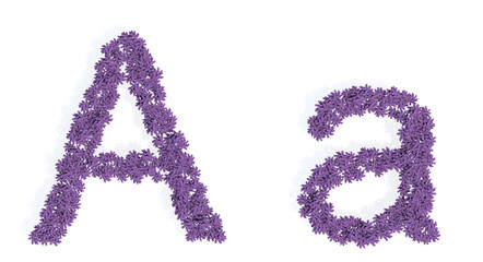 Concept or conceptual set of beautiful blooming lupine bouquets forming the font A. 3d illustration metaphor for education, design and decoration, romance and love, nature, spring or summer.