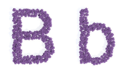 Concept or conceptual set of beautiful blooming lupine bouquets forming the font B. 3d illustration metaphor for education, design and decoration, romance and love, nature, spring or summer.