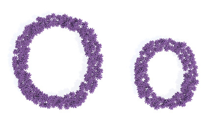 Concept or conceptual set of beautiful blooming lupine bouquets forming the font O. 3d illustration metaphor for education, design and decoration, romance and love, nature, spring or summer.