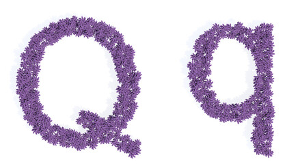 Concept or conceptual set of beautiful blooming lupine bouquets forming the font Q. 3d illustration metaphor for education, design and decoration, romance and love, nature, spring or summer.