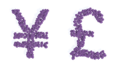 Conceptual set of beautiful blooming lupine bouquets forming the yen and pound signs. 3d illustration metaphor for education, design and decoration, romance and love, nature, spring or summer.