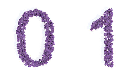 Concept or conceptual set of beautiful blooming lupine bouquets forming the fonts  0 and 1. 3d illustration metaphor for education, design and decoration, romance and love, nature, spring or summer.
