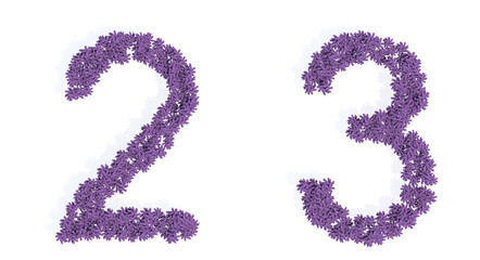 Concept or conceptual set of beautiful blooming lupine bouquets forming the fonts  2 and 3. 3d illustration metaphor for education, design and decoration, romance and love, nature, spring or summer.