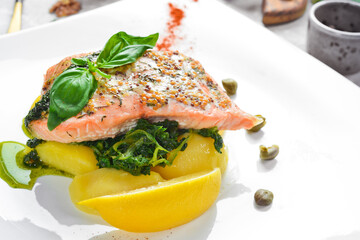 Baked salmon with spinach on a potato pillow. On a white plate. On a gray stone background. Restaurant menu.