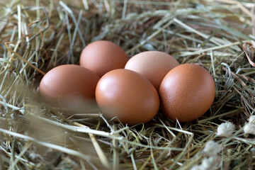 Chicken eggs in a hay nest at sunset. Organic products. Close up.
