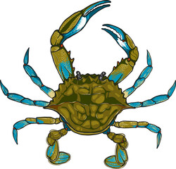 Crab png by hand drawing.crab silhouette on white background.