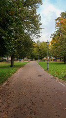 autumn in the park
