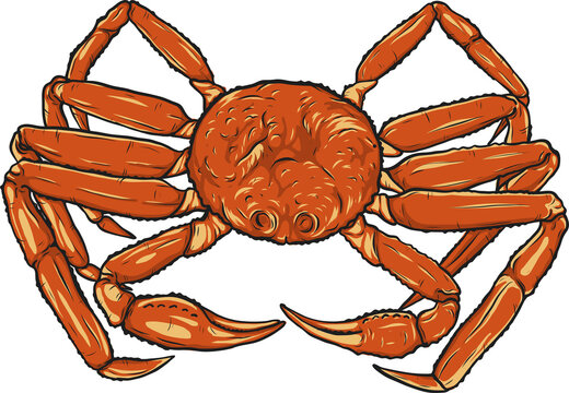 Crab png by hand drawing.crab silhouette on white background.