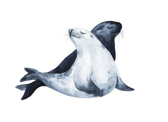 Watercolor cute sea lions. Hand painting postcard with sea lions isolated white background. Ocean animals.