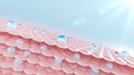 3D renderings of skin cells. Serum is absorbed via the skin to lessen drooping skin cells. moisturizing cream for lighting The dark skin tone was changed by a bright one. 
