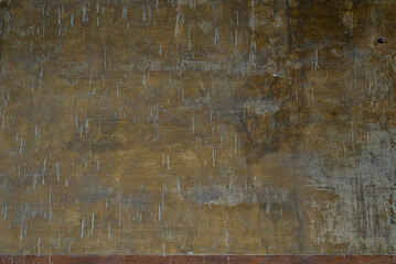 Old shabby wall with mould and stains. Ancient texture, background, close up.	