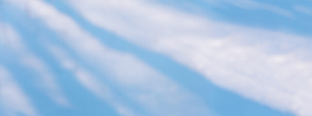 Fototapeta premium Winter background, horizontal banner - view of a snowy surface in a winter forest, in the rays of the winter sun with copy space for text