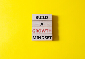 Build a growth mindset symbol. Concept words Build a growth mindset on wooden blocks. Beautiful...