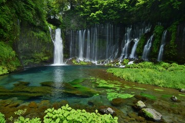Fototapeta na wymiar 白糸ノ滝・静岡県 初夏の風景
