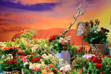 Dutch flowers exhibition, Keukenhof garden, Lisse, South Holland, the Netherlands, Europe. 