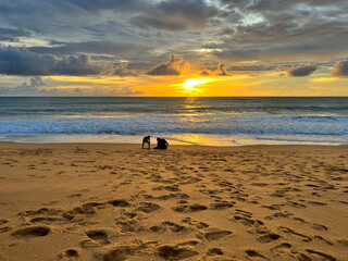 Obraz premium Father and son sitting on the beach in the evening
