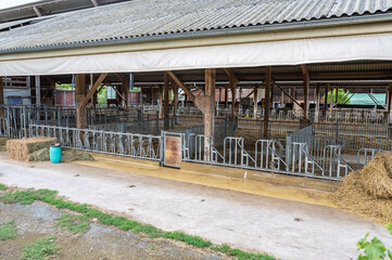 cowshed without cows in it on a farm, separated spaces for the cows metal fence