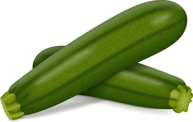 Group of Green Zucchini. Courgette or marrow. Summer squash. Cucurbita pepo or cucubits. Fresh, organic, raw fruits and vegetables. Vector illustration isolated on white background.