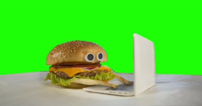 Live burger, burger animated character with eyes using laptop, notebook. Fast food online, junk food concept. Unhealthy hamburger working with laptop, typing. Green screen. Delivery food online