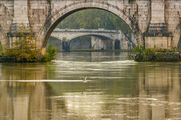 Matin d'automne le long du Tibre &agrave; Rome