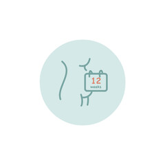 12 weeks of pregnancy symbol woman body with calendar. Twelve weeks pregnant sign. First trimester.