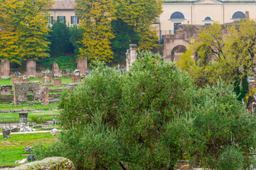 Matin d'automne dans le centre historique de Rome