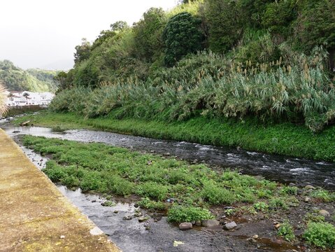 Rivi&egrave;re Ribeira do Purgar &agrave; Provoa&ccedil;ao sur l'&icirc;le de Sao Miguel dans l'archipel des A&ccedil;ores au Portugal Europe