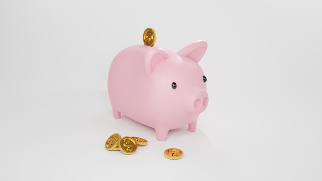 Pig piggy bank being put in coins